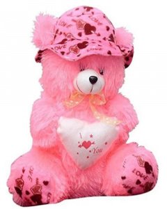 Pink Cap Pink Teddy Bear