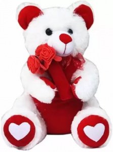 Cute Soft White and Red Teddy Bear with Rose - 50 cm (Red, White)